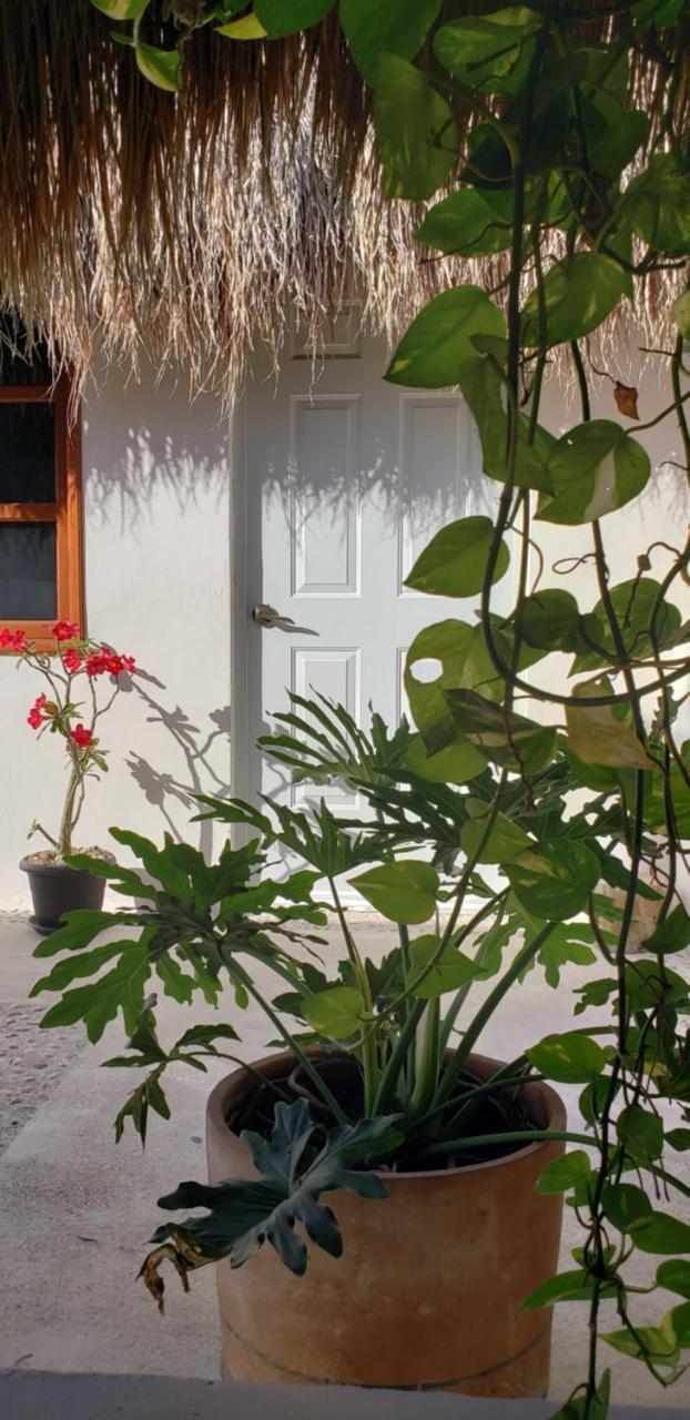 Poza Clara Sanctuary Hotel Bacalar Exterior photo